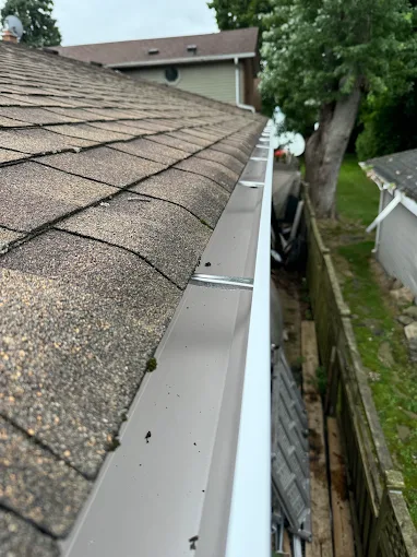 Close view of a weathered eavestrough and roof edge showing accumulated dirt and age.